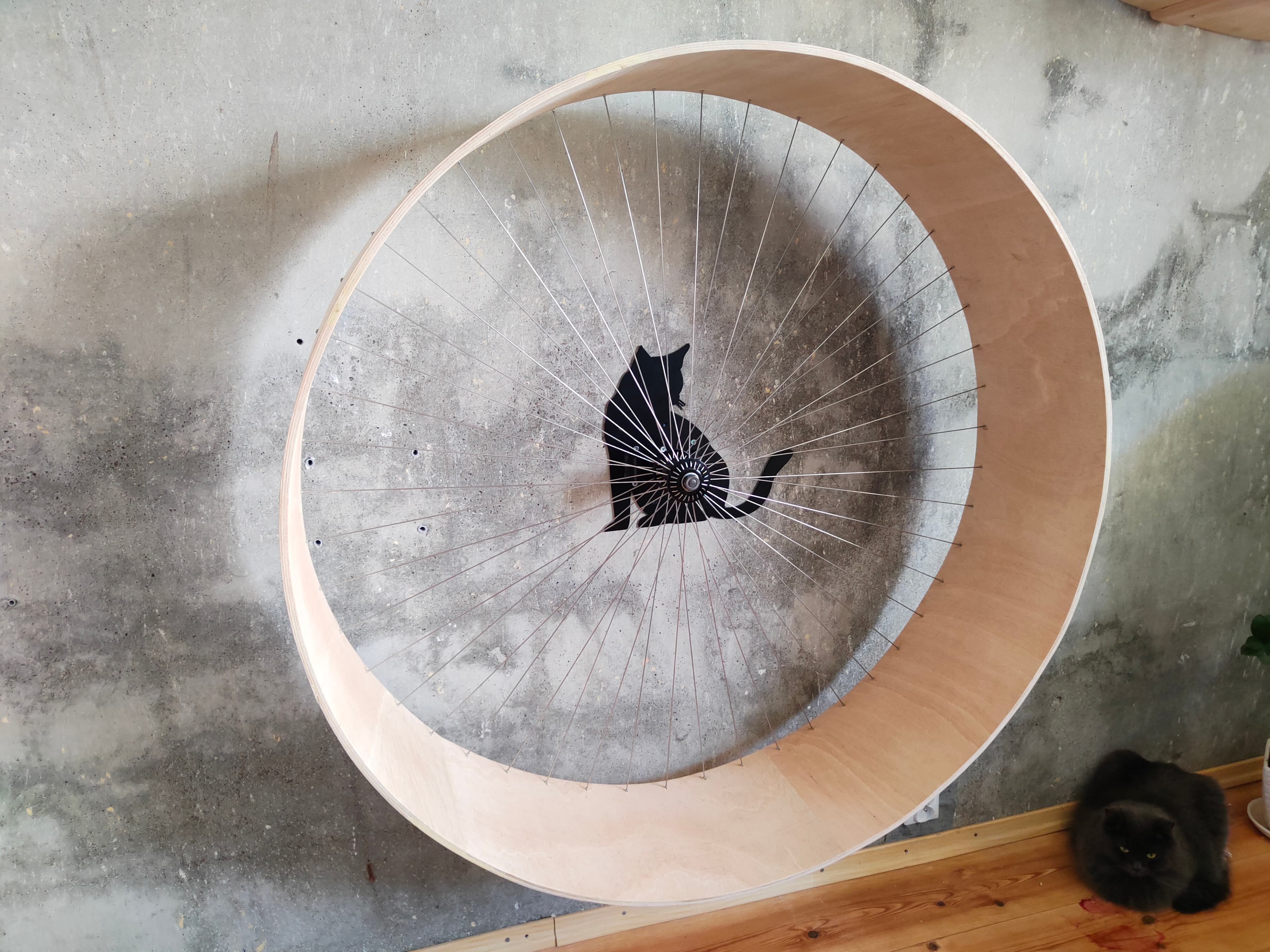 Cat wheel size comparison showing the biomechanical advantage of a 114cm diameter