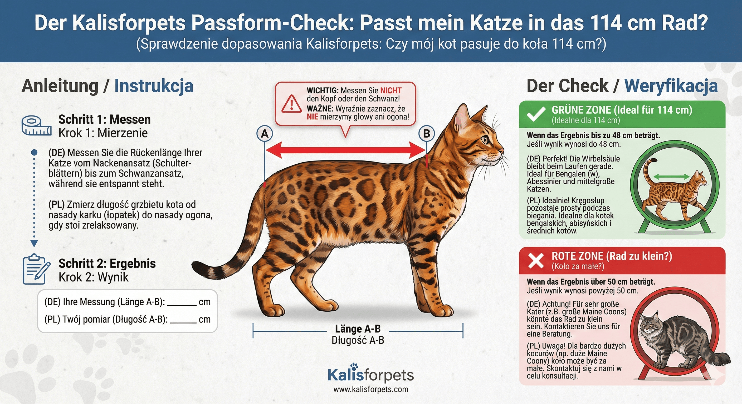 Infographic guide for measuring cat spine length to ensure safe exercise wheel fit